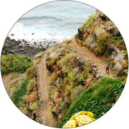 trans-la-palma-inselueberquerung-mountainbike-eventwoche